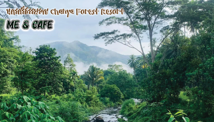 นครศรีธรรมราช Chanya Forest Resort